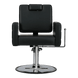 Gwyneth All-Purpose Chair - Kaemark