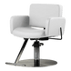 Atticus All-Purpose Styling Chair - Kaemark