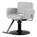 Atticus All-Purpose Styling Chair - Kaemark