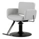 Atticus All-Purpose Styling Chair - Kaemark