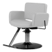 Atticus All-Purpose Styling Chair - Kaemark