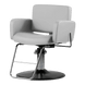 Atticus All-Purpose Styling Chair - Kaemark