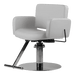 Atticus All-Purpose Styling Chair - Kaemark