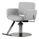 Atticus All-Purpose Styling Chair - Kaemark