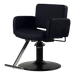 Atticus All-Purpose Styling Chair - Kaemark