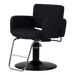 Atticus All-Purpose Styling Chair - Kaemark