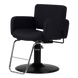 Atticus All-Purpose Styling Chair - Kaemark