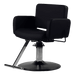 Atticus All-Purpose Styling Chair - Kaemark