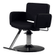 Atticus All-Purpose Styling Chair - Kaemark