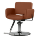 Atticus All-Purpose Styling Chair - Kaemark