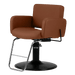 Atticus All-Purpose Styling Chair - Kaemark