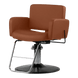 Atticus All-Purpose Styling Chair - Kaemark