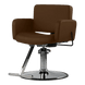 Atticus All-Purpose Styling Chair - Kaemark