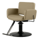 Atticus All-Purpose Styling Chair - Kaemark