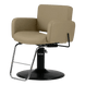 Atticus All-Purpose Styling Chair - Kaemark