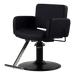 Atticus All-Purpose Styling Chair - Kaemark