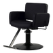 Atticus All-Purpose Styling Chair - Kaemark