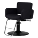 Atticus All-Purpose Styling Chair - Kaemark