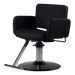 Atticus All-Purpose Styling Chair - Kaemark