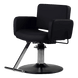 Atticus All-Purpose Styling Chair - Kaemark