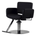Atticus All-Purpose Styling Chair - Kaemark