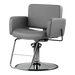 Atticus All-Purpose Styling Chair - Kaemark
