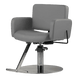 Atticus All-Purpose Styling Chair - Kaemark