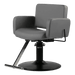 Atticus All-Purpose Styling Chair - Kaemark