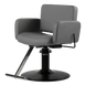 Atticus All-Purpose Styling Chair - Kaemark