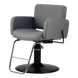 Atticus All-Purpose Styling Chair - Kaemark