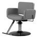 Atticus All-Purpose Styling Chair - Kaemark