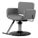 Atticus All-Purpose Styling Chair - Kaemark