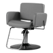 Atticus All-Purpose Styling Chair - Kaemark