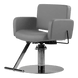 Atticus All-Purpose Styling Chair - Kaemark