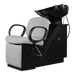 Delphina Shampoo Shuttle with Legrest - Kaemark