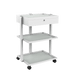 Evie 3-Tier Spa Technician Cart - Kaemark