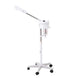 Sunny Spa Facial Steamer - Kaemark