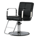 Fantasia Styling Chair - Kaemark