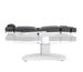 Mila Facial and Treatment Chair - Kaemark