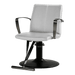Salvador Styling Chair - Kaemark