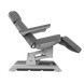 Serene Facial and Treatment Chair - Grey - Kaemark