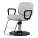 Westfall Styling Chair - Kaemark