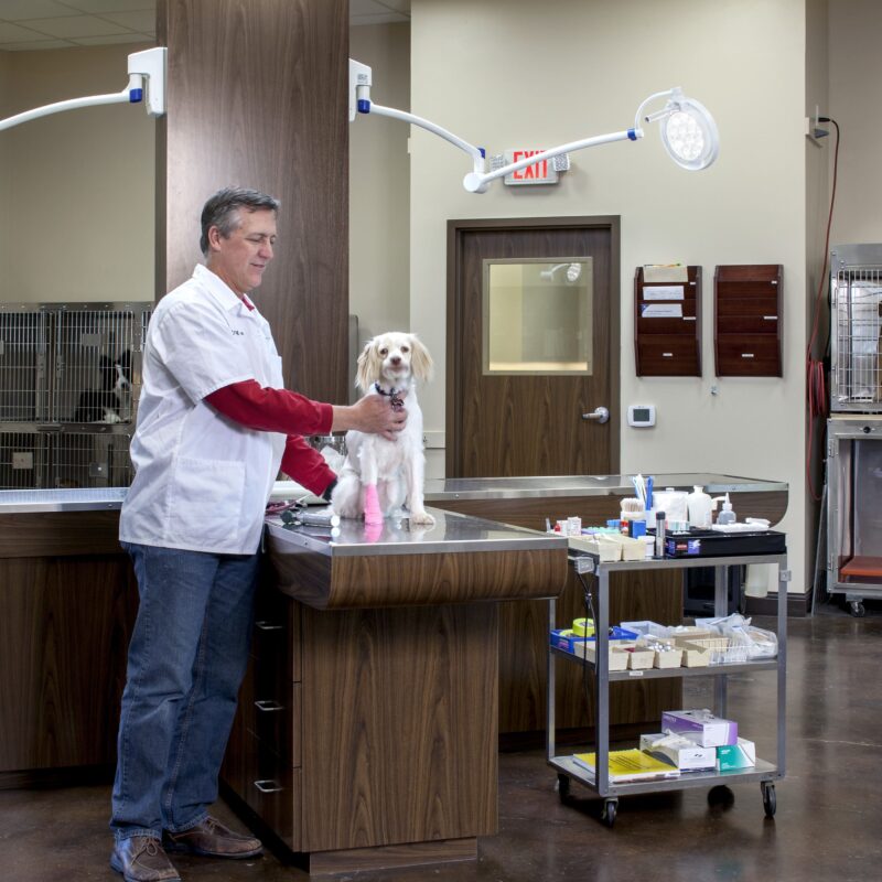 Veterinary — Kaemark