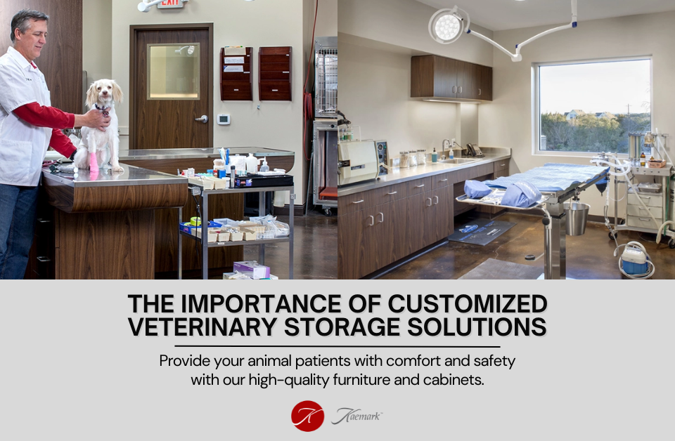 The Importance of Customized Veterinary Storage Solutions with Kaemark