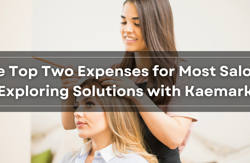 a picture of a hair stylist working on another woman's hair with the picture title of The Top Two Expenses for Most Salons: Exploring Solutions with Kaemark