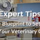 Veterinary Clinic Design Expert Tips Featured Image