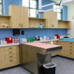 The Benefits of Modular Cabinetry Solutions in Veterinary Facilities