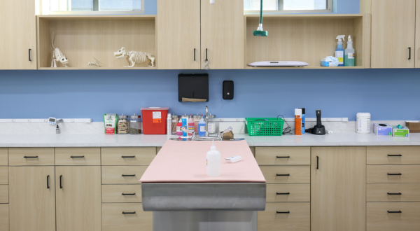 Kaemark American-made Veterinary Cabinetry