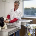 Kaemark Veterinary Solutions