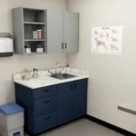 veterinary cabinet solutions